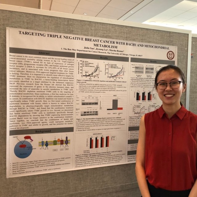 Research Presentation